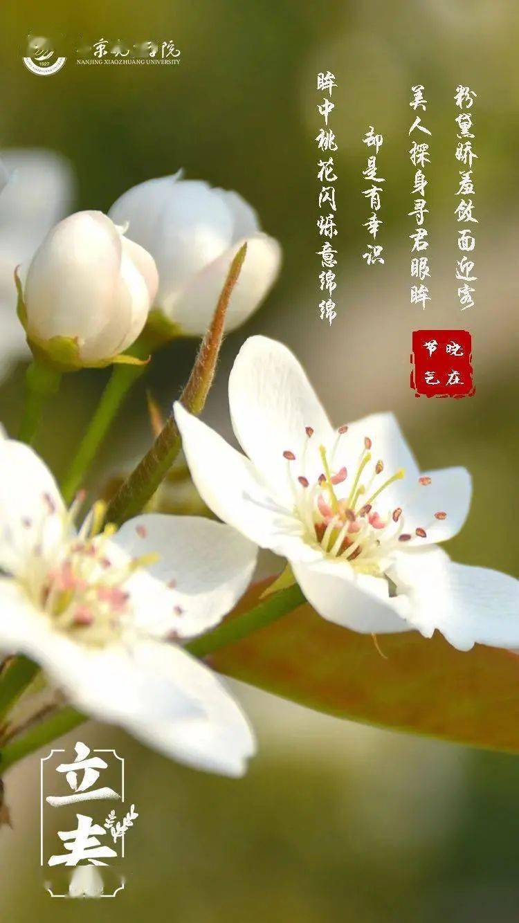 晓庄24节气·立春