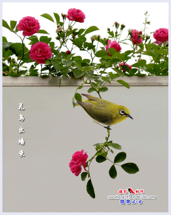 556_700 竖版 竖屏