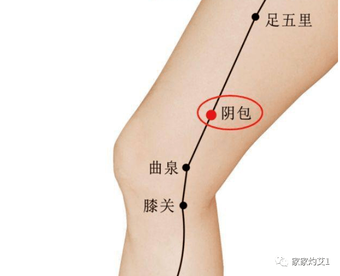 阴包穴:在大腿内侧,当股骨上髁上4寸,股内肌与缝匠肌之间.