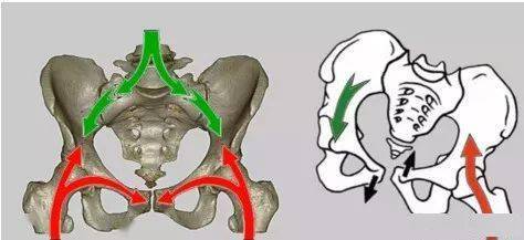 手法正骨骶髂关节