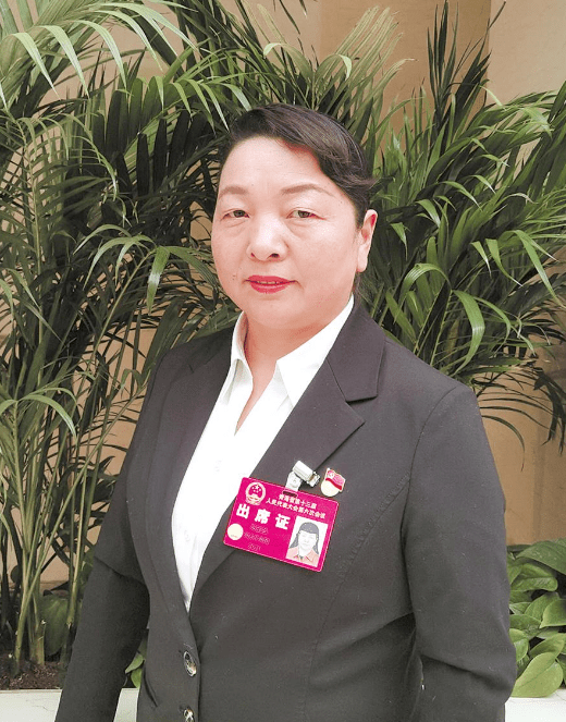 速递代表委员建言献策