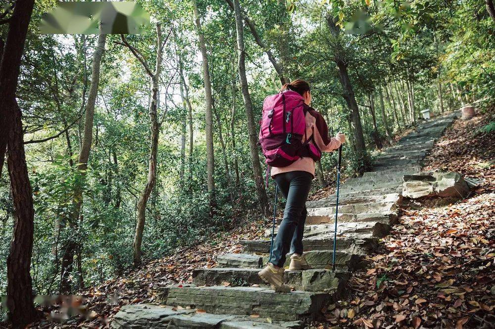 姑娘们,去爬山还是带个人保险"_登山