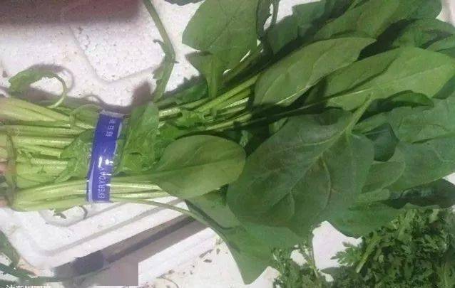 吃山药,益补脾.吃百合,益补肺.要健脑,吃核桃.吃苹果,益补肾.