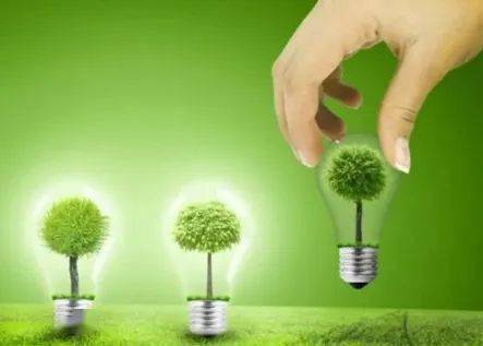 专家观点丨推动生物质发电产业绿色低碳循环发展