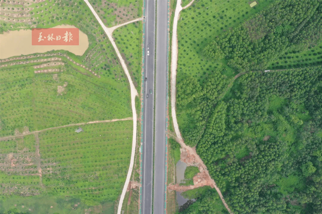 北流市义工协会邹明广荣获广西