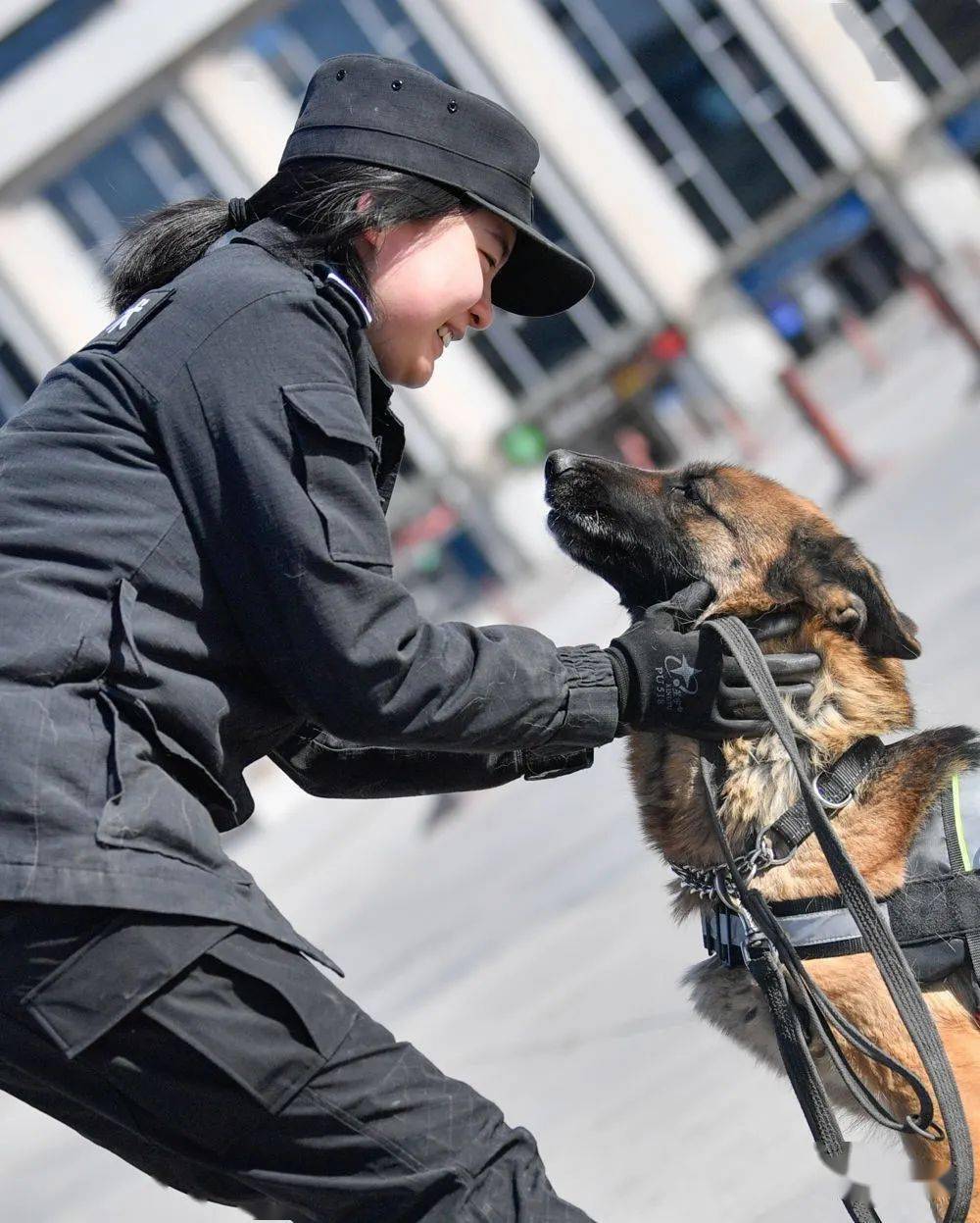 警犬工作队加大了对天津站,天津西站等重点场所携犬巡逻力度根据车站