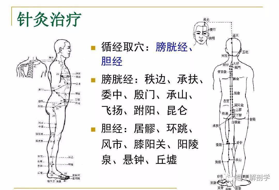 腰椎间盘突出症的针灸治疗