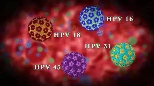 【hpv病毒】关于hpv感染,最常见的几个问题