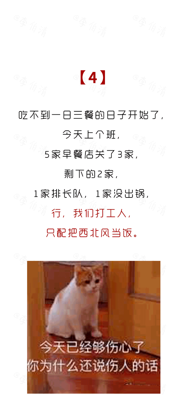 他们不仅要上班,在年前这段时间,更惨的是:都还在坚持上班的打工人!