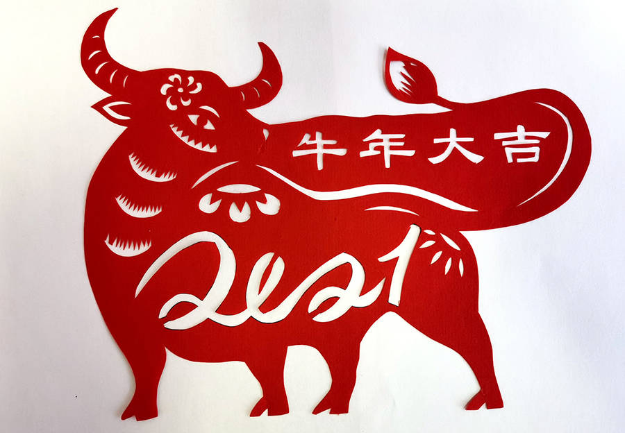 2月2日,广西河池市仫佬族剪纸传人罗华清的贺年作品《2021,牛》.
