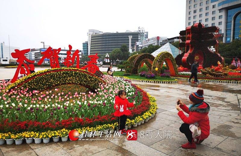 喜迎新春佳节 60万盆鲜花扮美桂林城(图)_造型