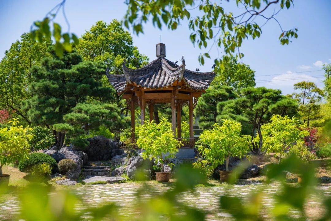 典型的古徽派园林与徽派盆景相结合的中国私家园林鲍家花园物理天成