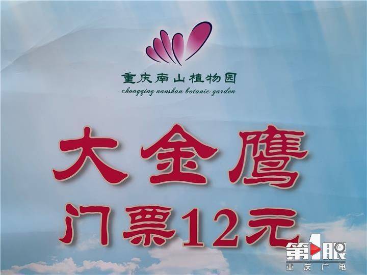 游览提示:大金鹰园票价12元/人,根据疫情防控要求,入园需出示健康码及