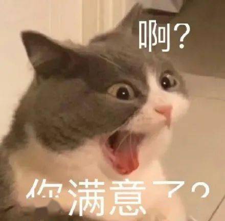过年了不打算换一批表情包吗