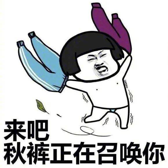 今天小编又穿上了秋裤