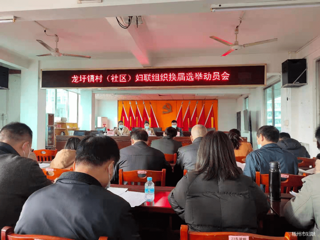 【妇联换届进行时】龙圩区妇联指导村(社区)妇联换届选举工作