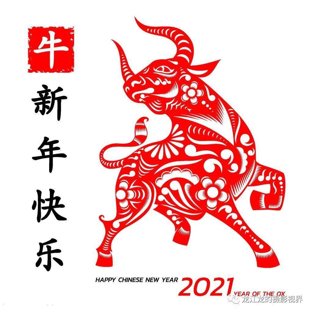 2021年农历是辛丑年,进入2021年后最牛和最流行的一句谐音成语,莫过