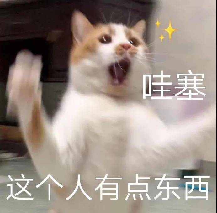 926c138a93e54db39217642a5b2857f1.jpeg