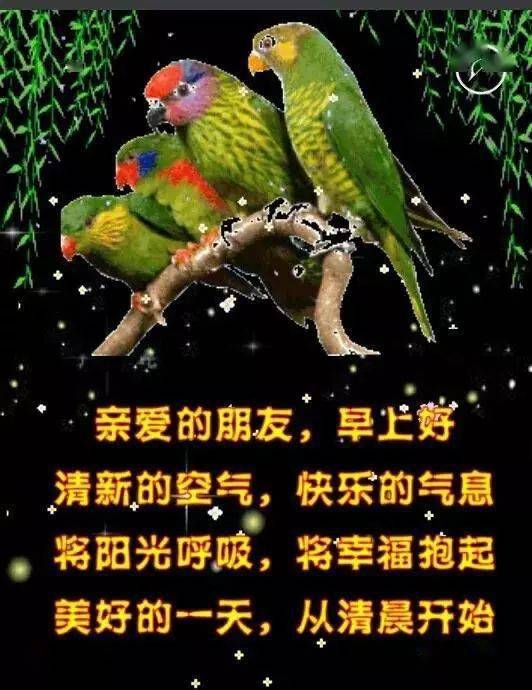 清晨早上好动态图带字,早安问候语图片大全