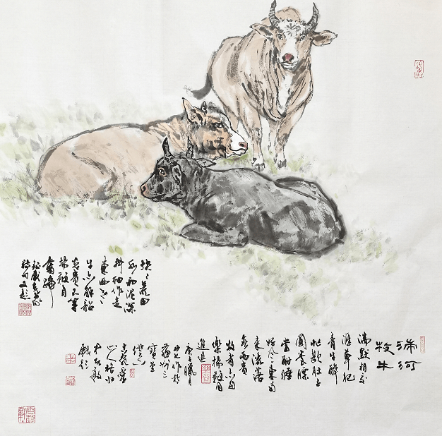 【网络中国节·春节】生生不息南阳牛_黄牛