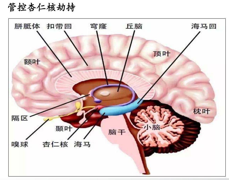 北大教授讲透了"成长的5个底层逻辑"