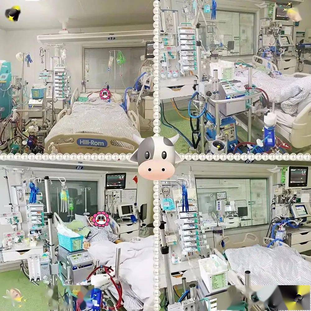 【春节特辑10】走进中大医院icu,看看这里的春节是啥样