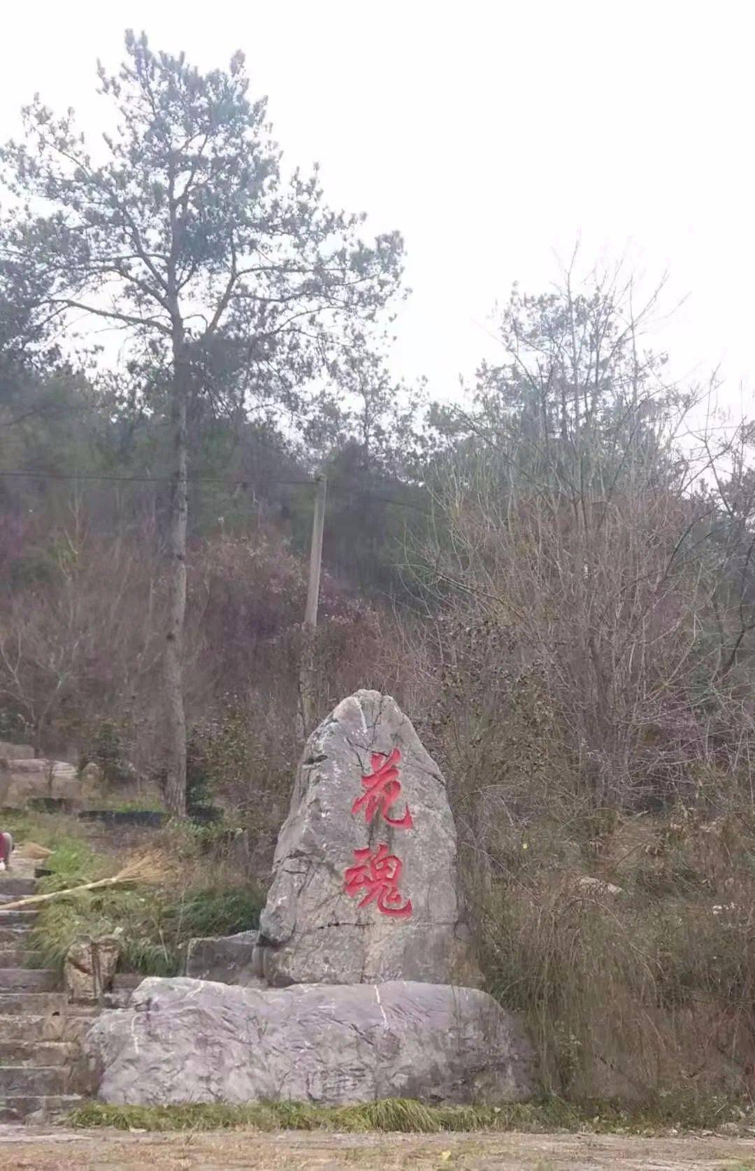 著名景点 湖北京山茶花源风景区