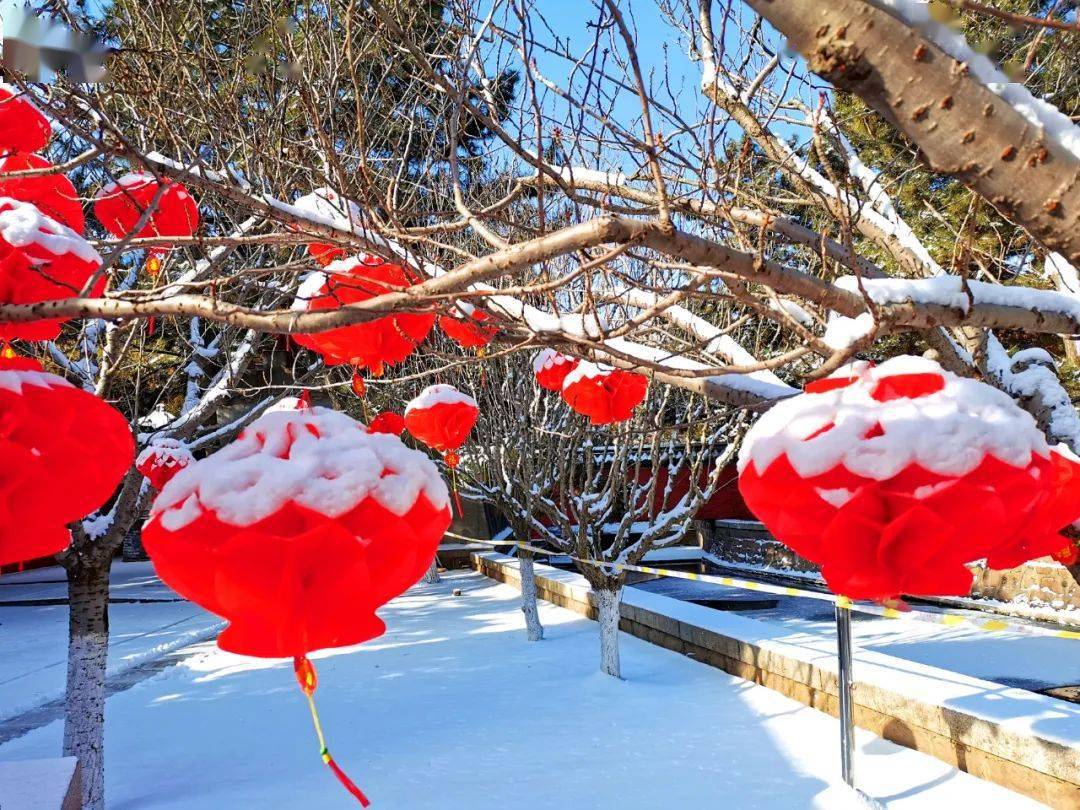 赤山绝美雪景,保鲜期只有12小时!_年味