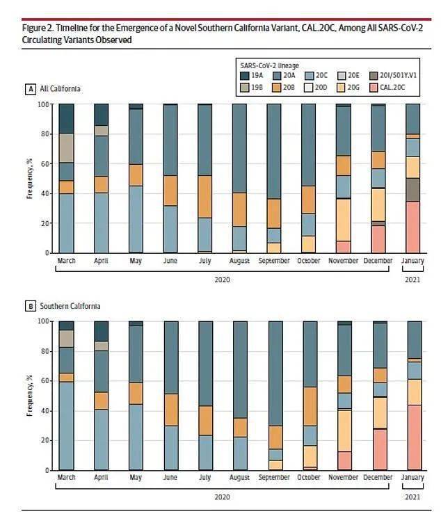 美国去年7月就出现新冠变异病毒!已蔓延19州,6个