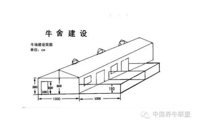 牛场建筑物的配置要求_牛舍