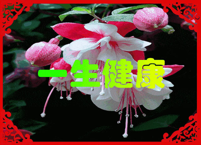 正月初七人生7乐原来是这个意思送给我最爱的你