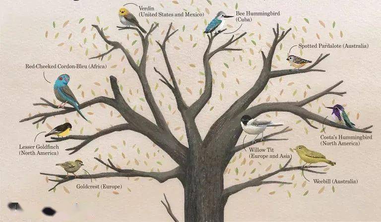 图自:treehugger / julie bang