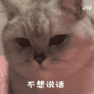 乱七八糟的表情包,我可太喜欢了!