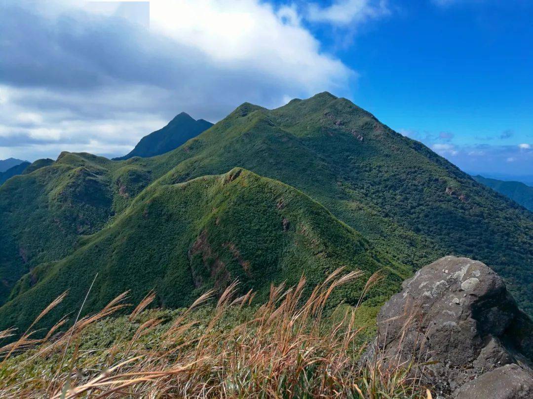 上思县文化广电体育和旅游局了解到,春节期间,该县域内的十万大山布透