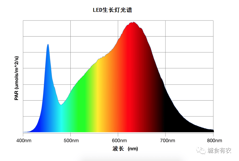 设施农业如何应用led灯?看了本文就全懂了_光谱