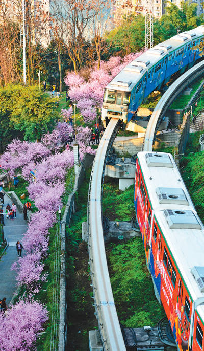 穿行花海_佛图关