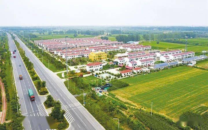 基础设施建设和公共服务发展等三大领域埇桥区朱仙庄镇朱庙村(董虎