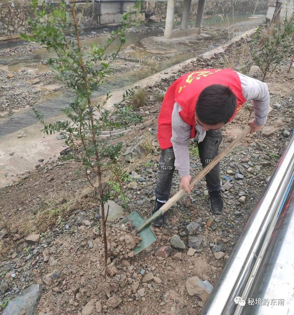 志愿者参加义务植树活动 参加此次义务植树活动的志愿者表示:在春节