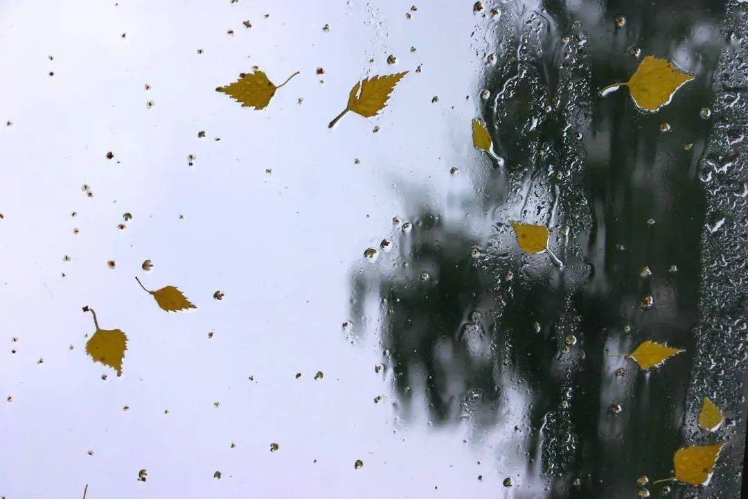 风里雨里|新农等你