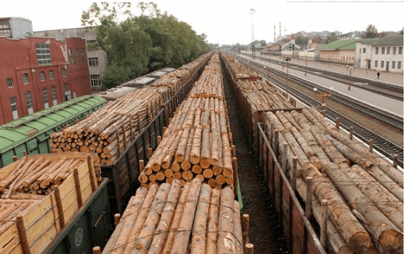 俄罗斯将完全禁止原木出口,数百家华商木材厂该何去何