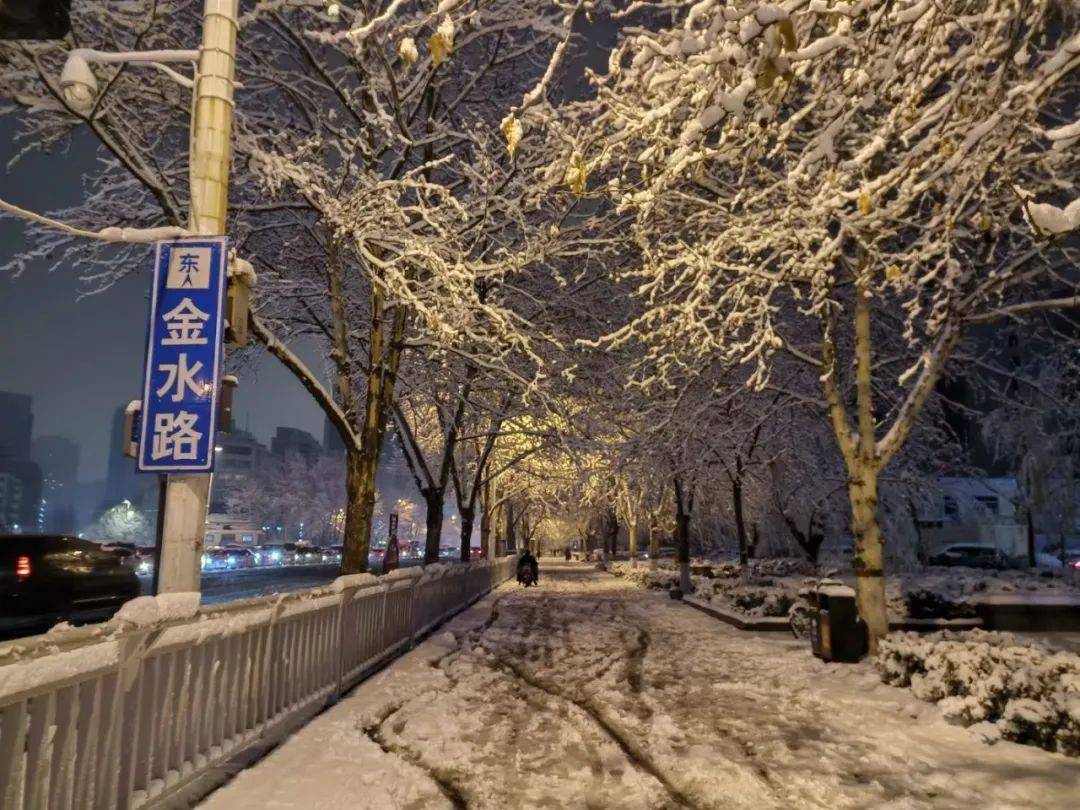 当春天遇见冬天,这场大雪温暖了这座城市_郑州