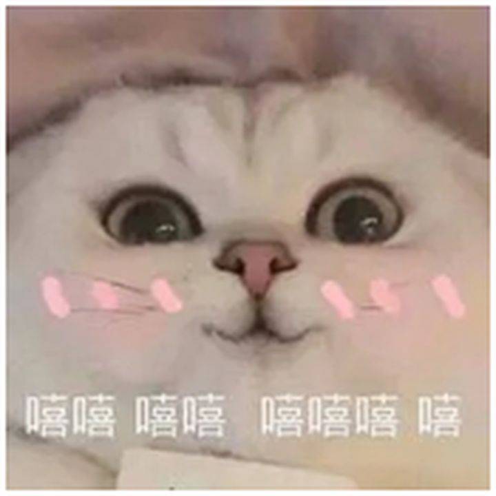 dff5caf950494a1db7e88a2c3528d4dd.jpeg