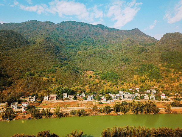 【广东物产】阳山县·洞冠梨