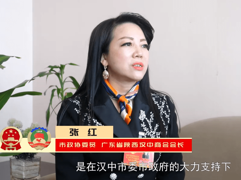 汉中市政协委员,广东省陕西汉中商会会长张红提案: 破解汉商回归助力