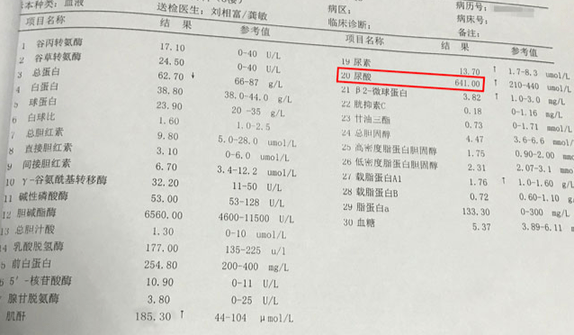 痛风尿酸高的如何调理2分钟看完一生受益