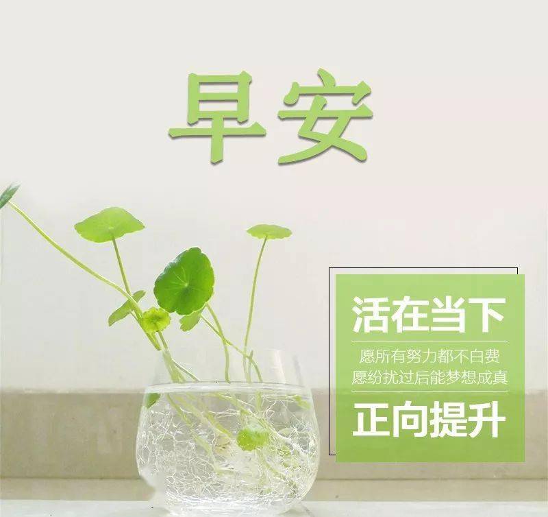 早安2021最新人物图片,早安图片2021新图片 2021早安正能量经典哲理短句,句句精辟,开启元气满满的一天