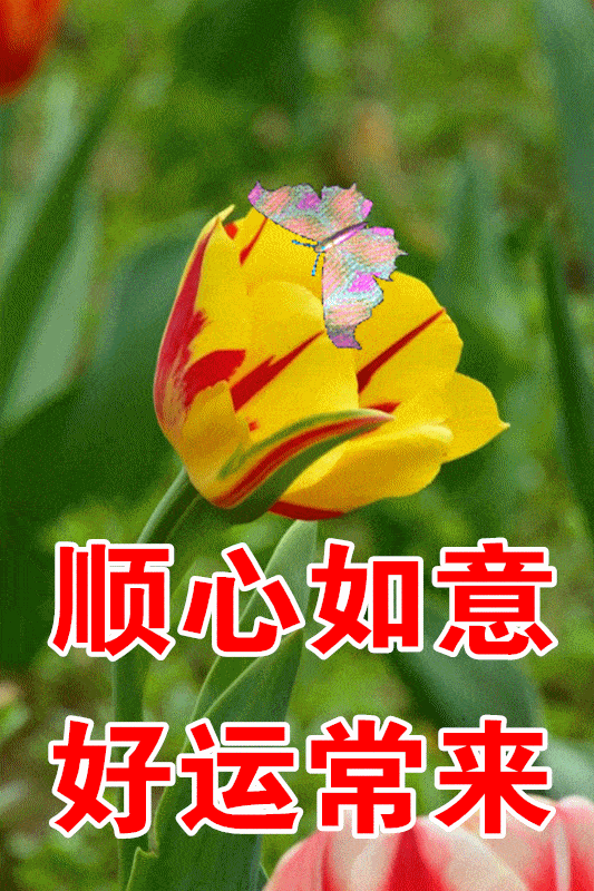 3月1日最漂亮早上好动态表情图片大全,早晨好动图美图