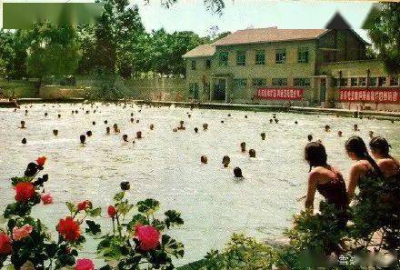 珍贵的游泳池老照片看看有你的回忆吗