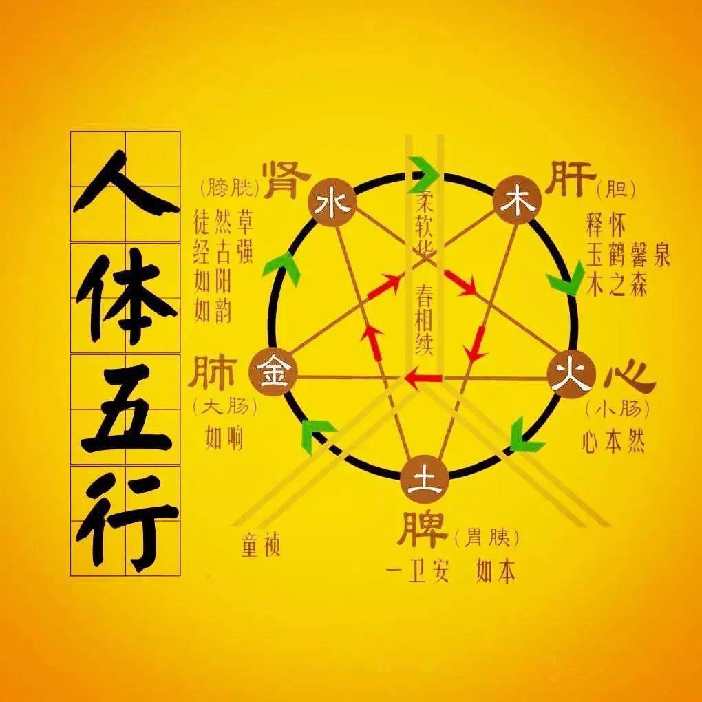 百病生于气,情深人不寿,为何"深情"的人都不长寿?_运动