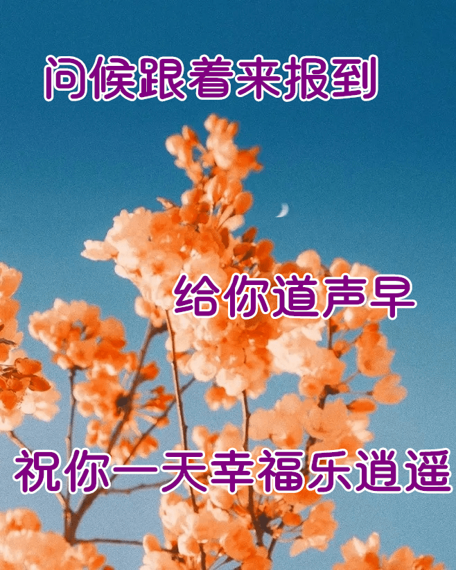 3月4日最漂亮早上好动态表情图片大全早晨好动图美图大全